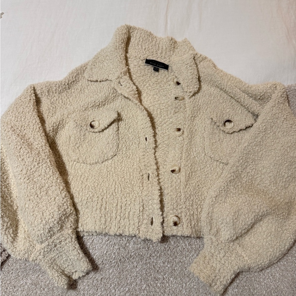 Blue Blush Beige Teddy Jacket